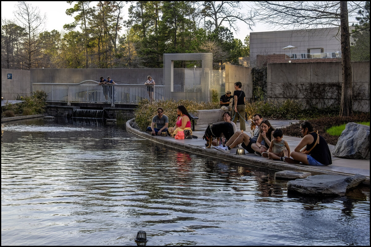 Японский пруд - **** vedin Японский пруд - **** vedin