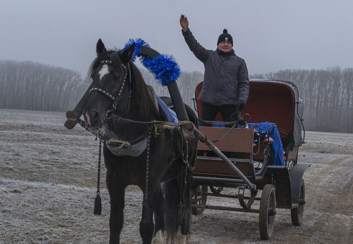 Табор уходит в небо - Сергей Цветков