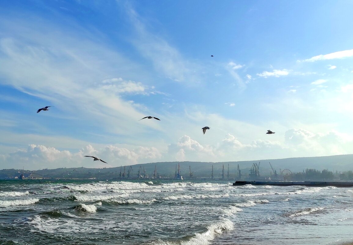 Чайки любят шторм - Татьяна Лютаева Чайки любят шторм - Татьяна Лютаева