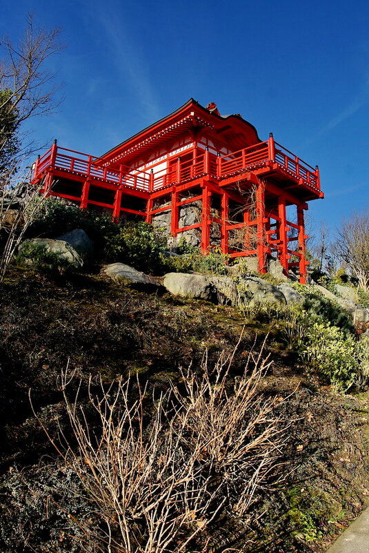 " Японский сад " парк Краснодар или Галицкого... - Николай Саржанов " Японский сад " парк Краснодар или Галицкого... - Николай Саржанов