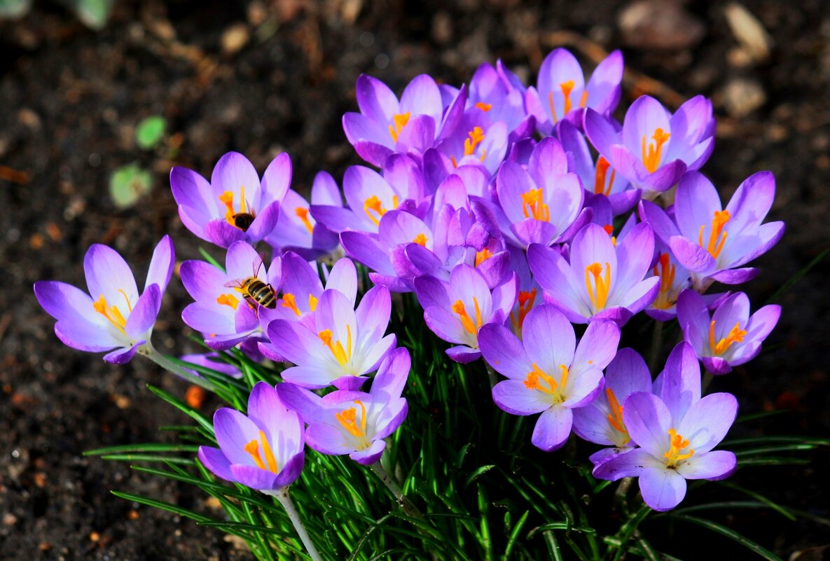 Доброе утро - Юрий. Шмаков