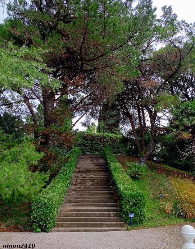 Адлер. Дендропарк "Южные культуры" - Нина Бутко Адлер. Дендропарк "Южные культуры" - Нина Бутко