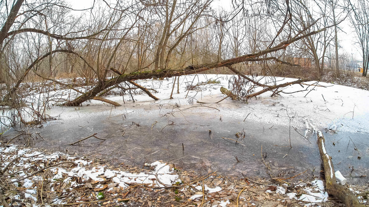 ***** - юрий поляков