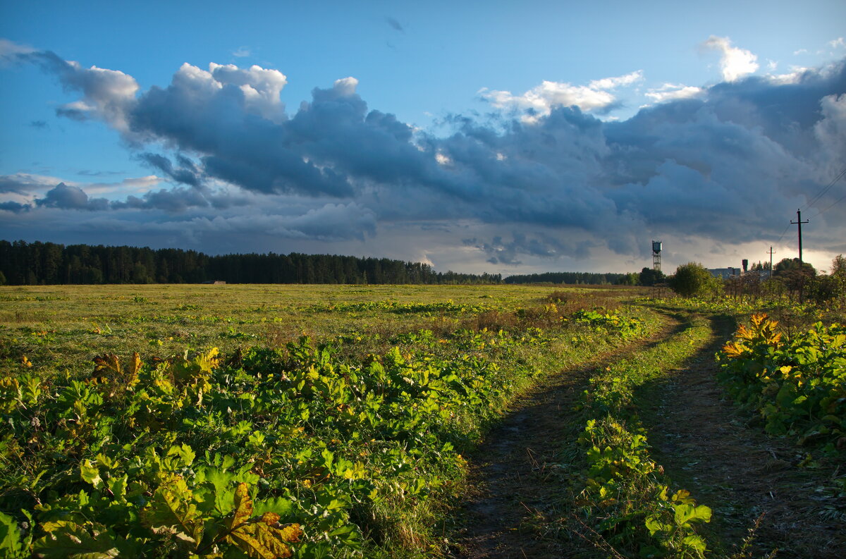 Сельский пейзаж - lady v.ekaterina