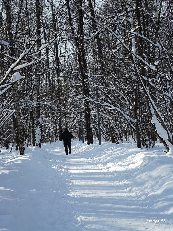 В парке - Freddy 97