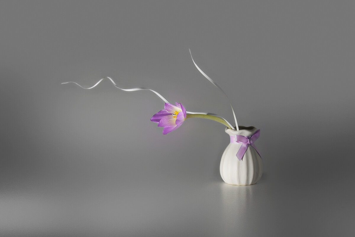 Последний подарок октября - Olenka Последний подарок октября - Olenka