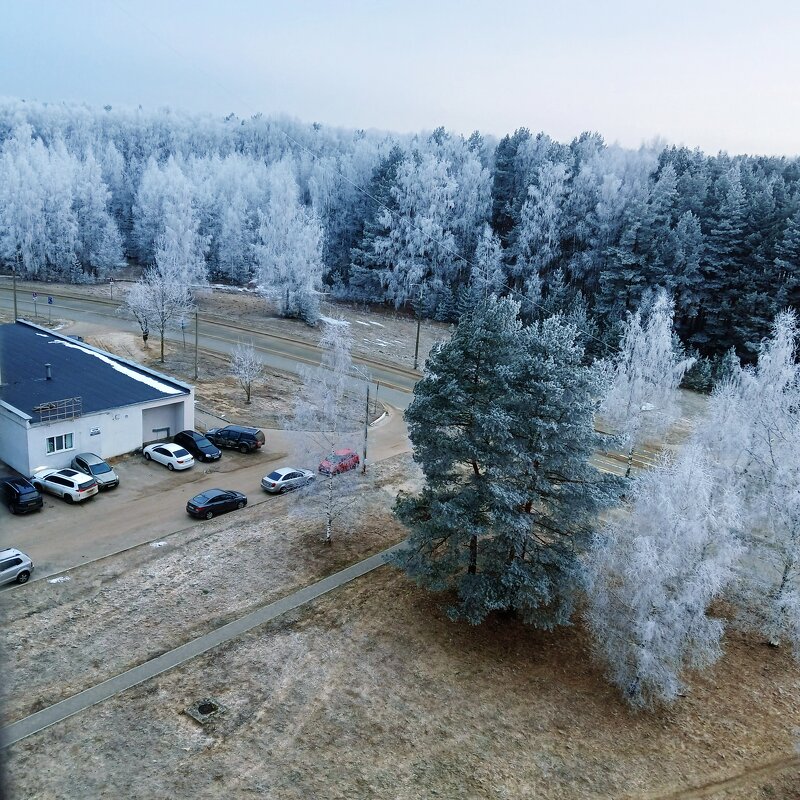 сюжет - Владимир 