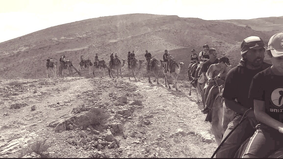 109 (73) - СТРЕН 