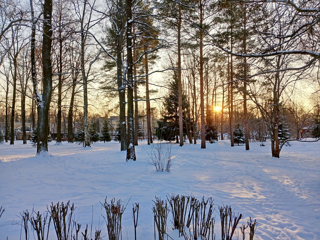 Февральский закат. - Лия ☼