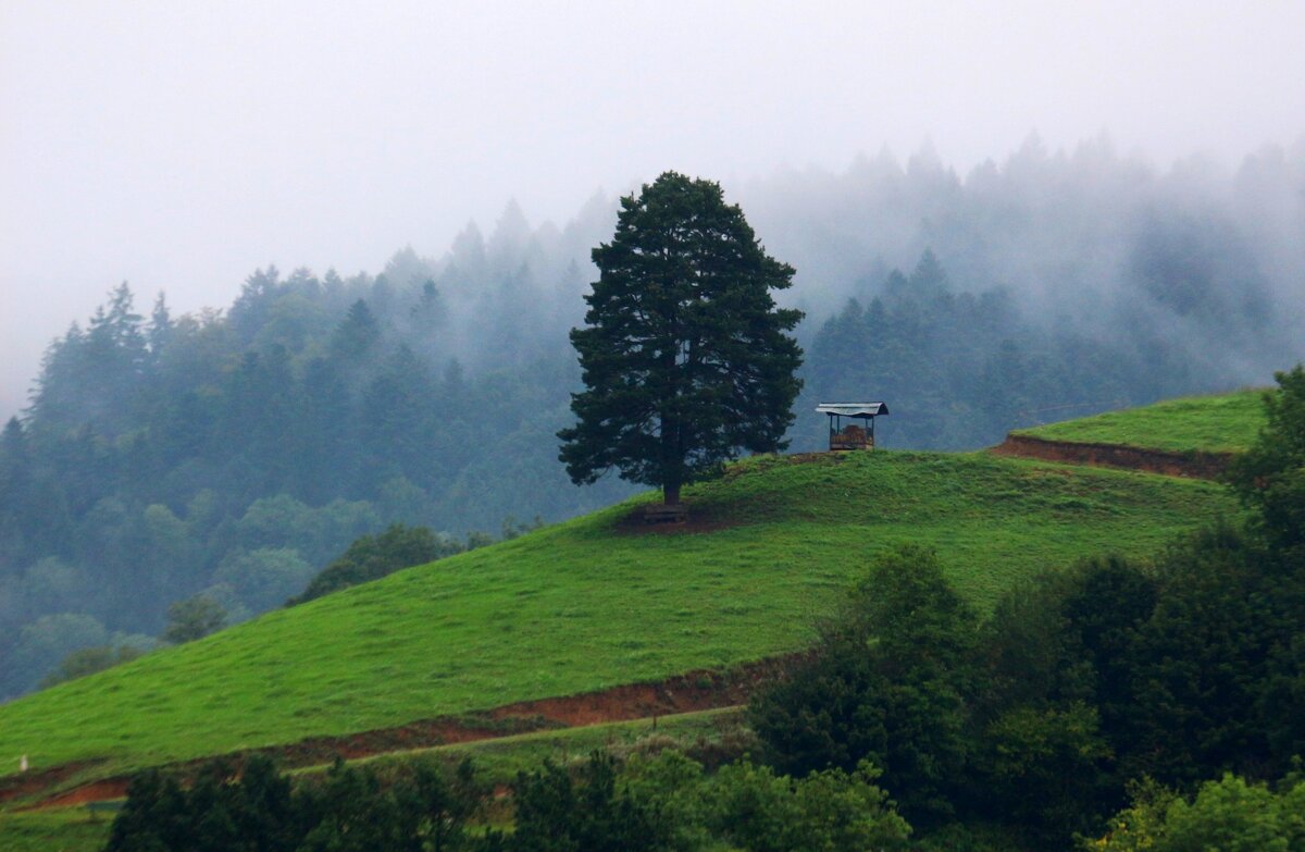 Одинокое - Юрий. Шмаков