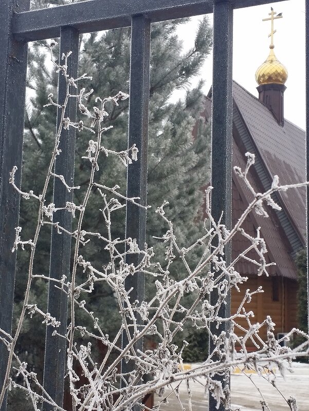 ... - Наталия Кольцова