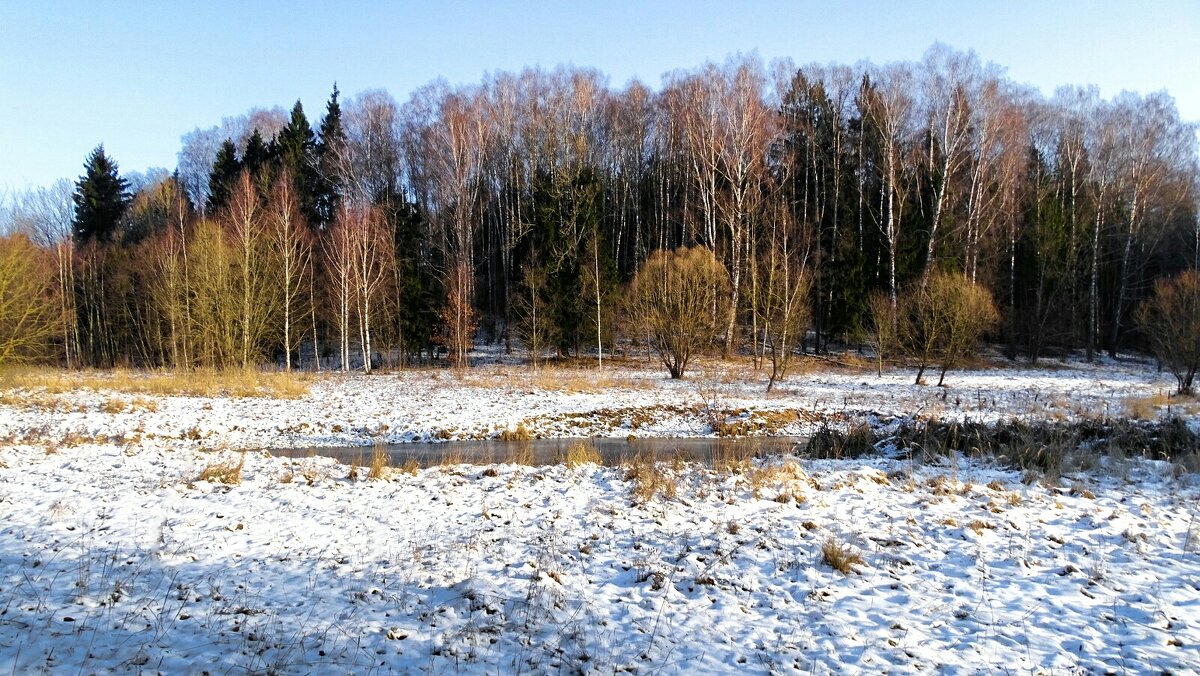 Зима - февраль - Милешкин Владимир Алексеевич Зима - февраль - Милешкин Владимир Алексеевич