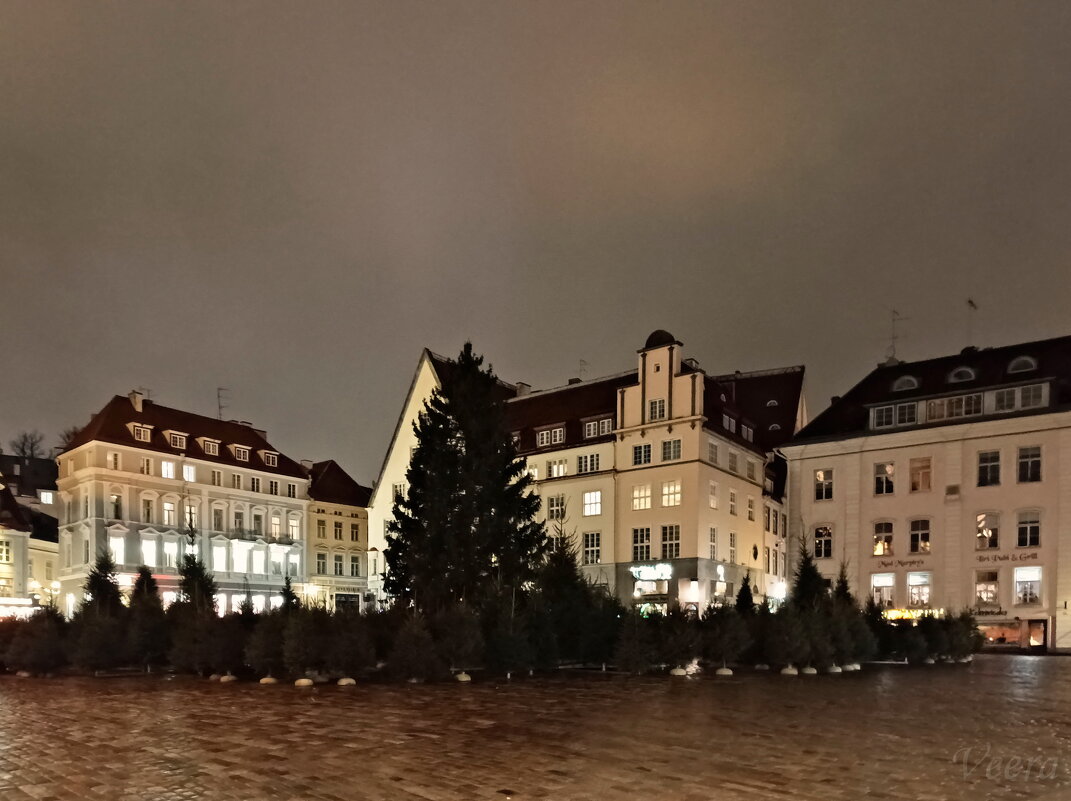 Ёлочный лабиринт - Veera V Ёлочный лабиринт - Veera V