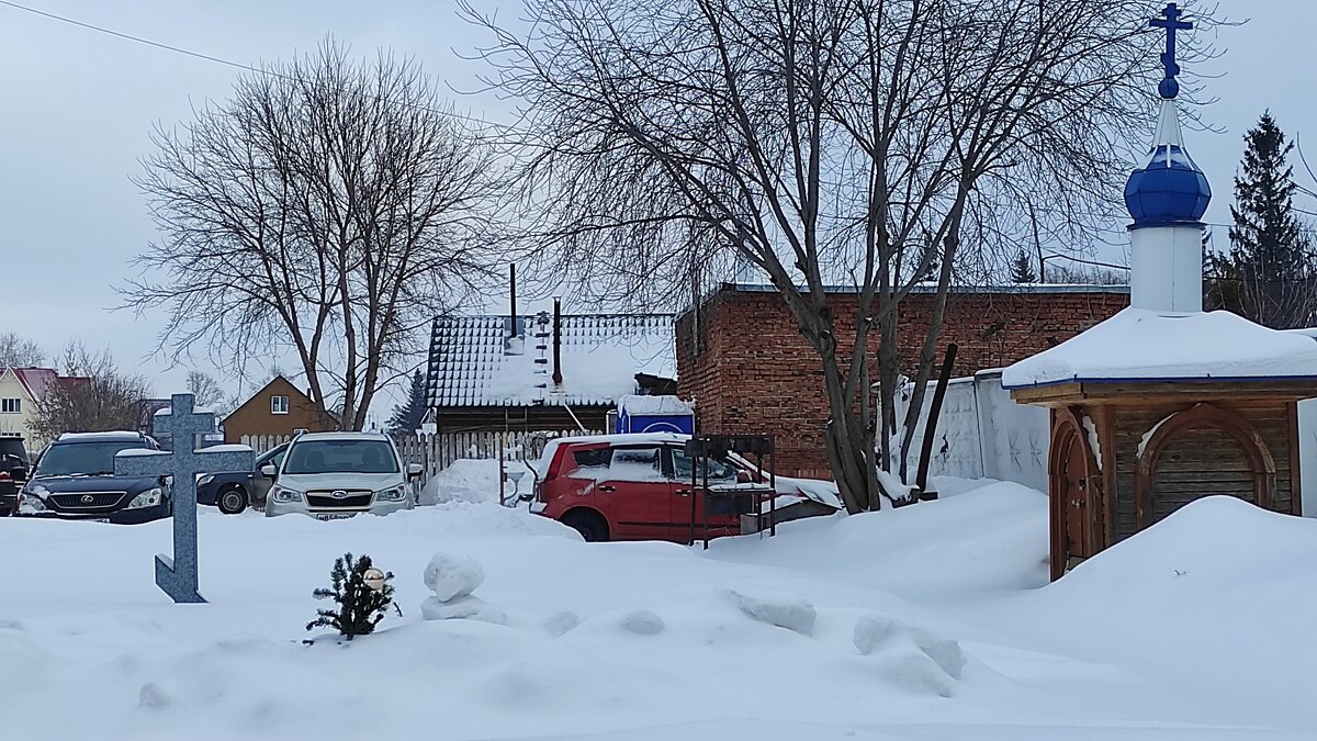 * - Татьяна Лютаева