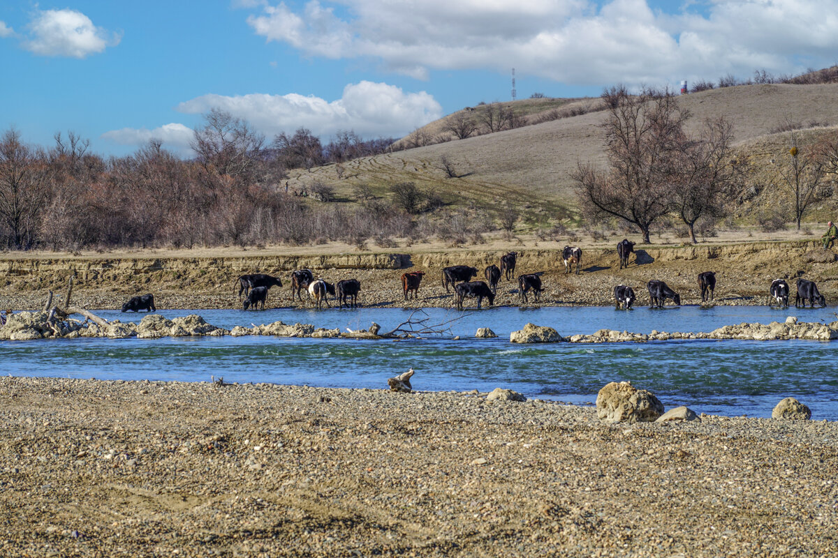река Кубань - Игорь Сикорский