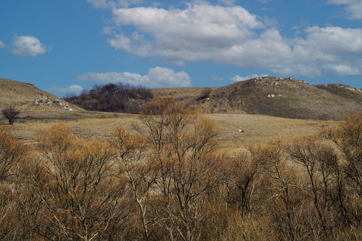 Окрестности - Игорь Сикорский Окрестности - Игорь Сикорский
