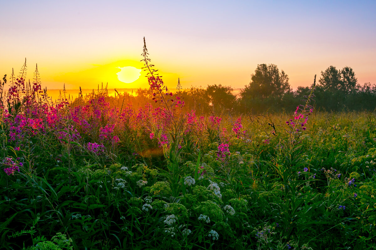 Утро - Александр Силинский Утро - Александр Силинский