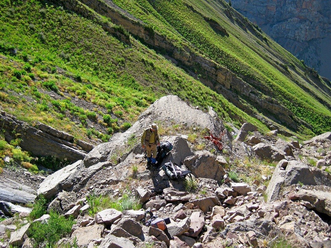 ГОРНАЯ ПРОГУЛКА. - Виктор Осипчук ГОРНАЯ ПРОГУЛКА. - Виктор Осипчук