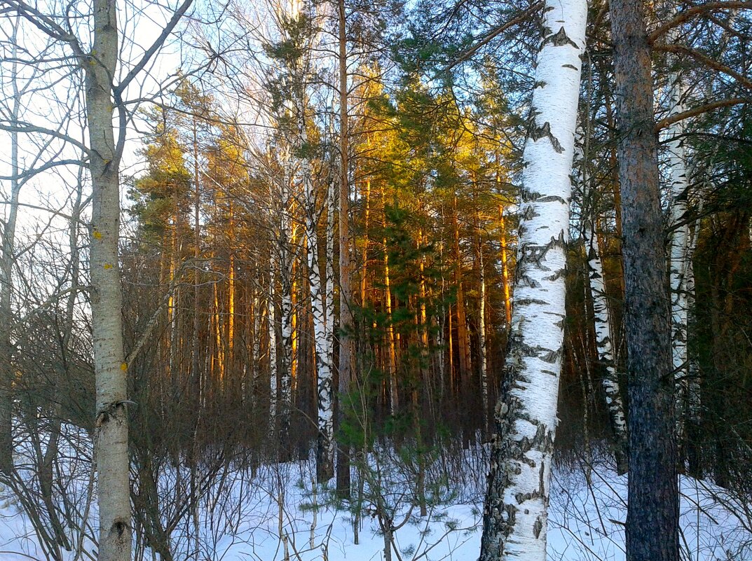 пейзаж - Владимир 