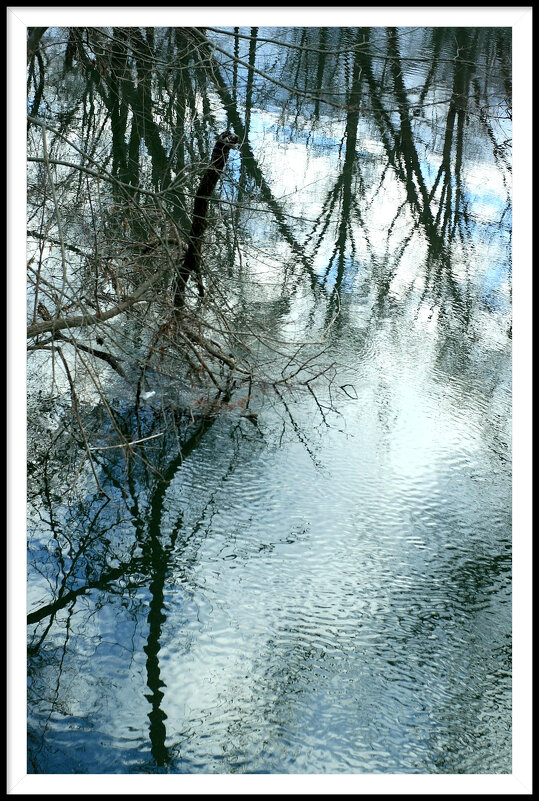 3 - Гонорий Голопупенко