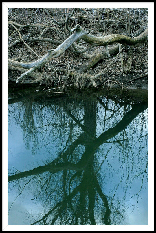 4 - Гонорий Голопупенко