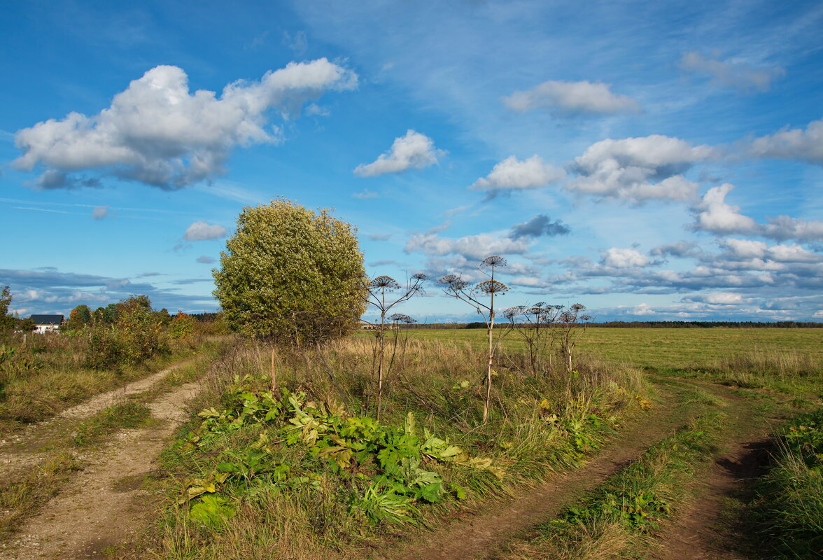Солнечный октябрь - lady v.ekaterina Солнечный октябрь - lady v.ekaterina