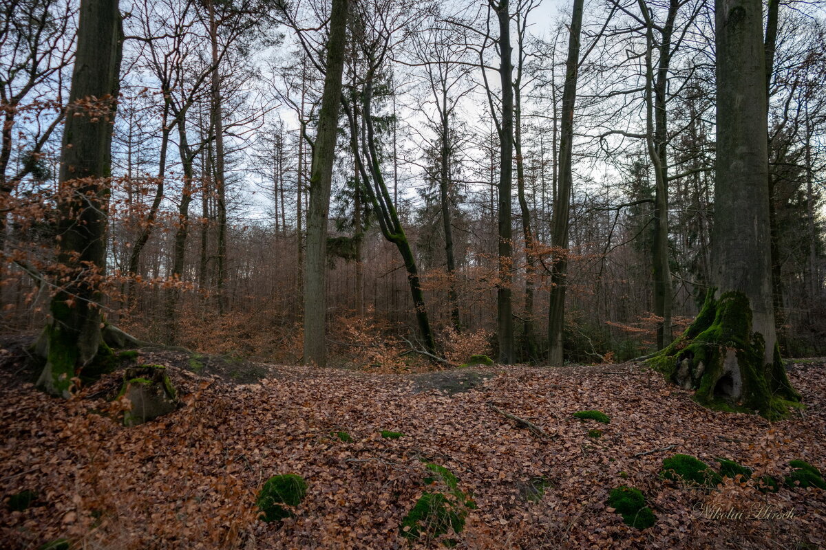 Земляной вал... - Николай Гирш