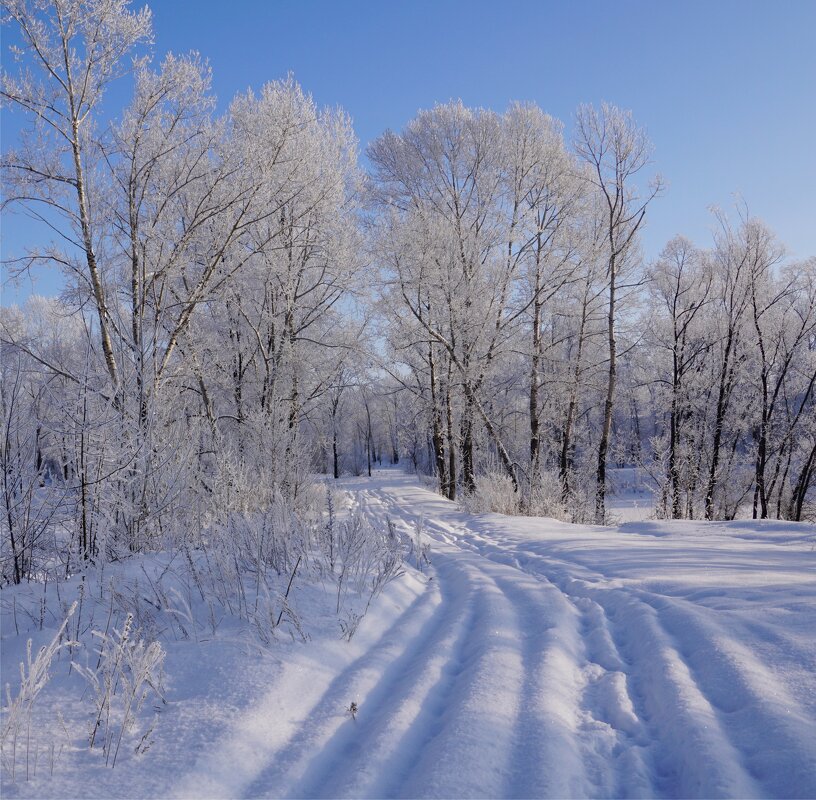 Зимняя дорога - Наталия Григорьева