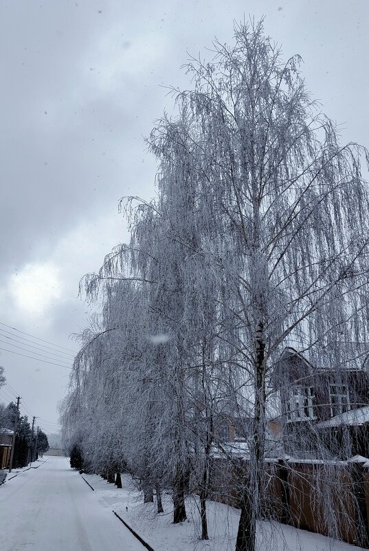 Иней. - Александр Кондаков