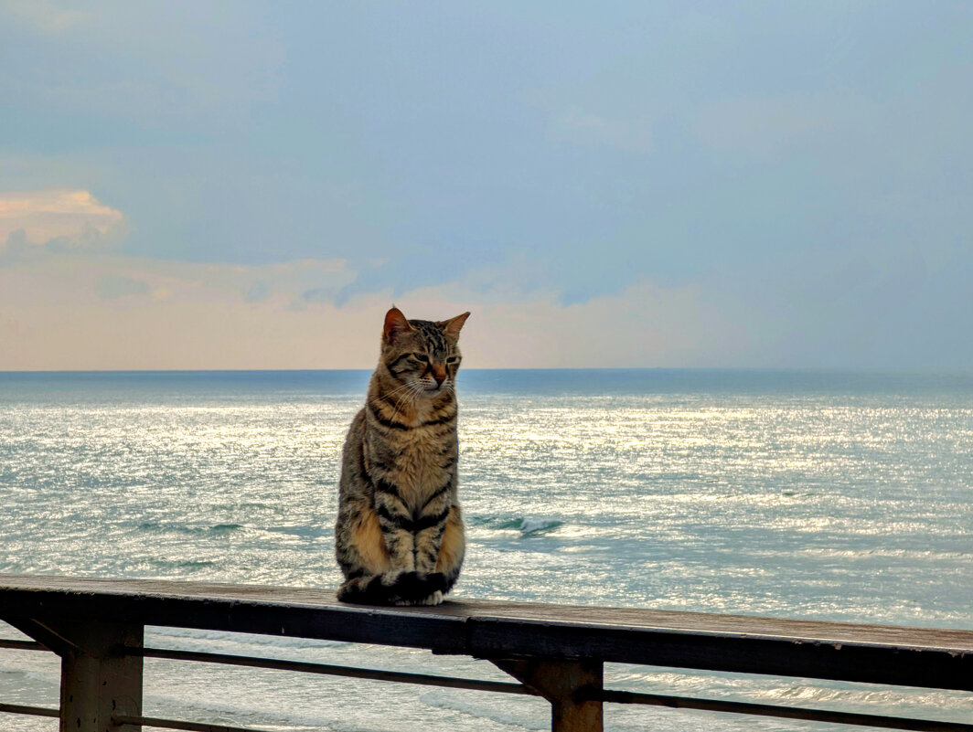 Зимний вечер - Serg _ Зимний вечер - Serg _