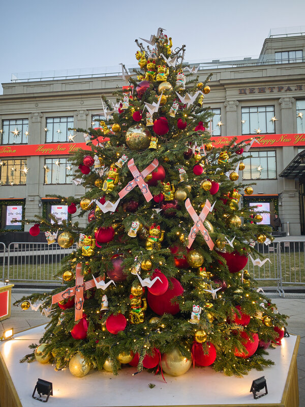 Китайская ёлочка - Andrew 