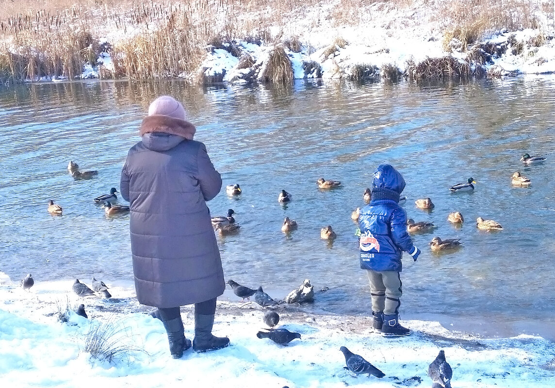 Кормим уток! - Валентина Нефёдова Кормим уток! - Валентина Нефёдова