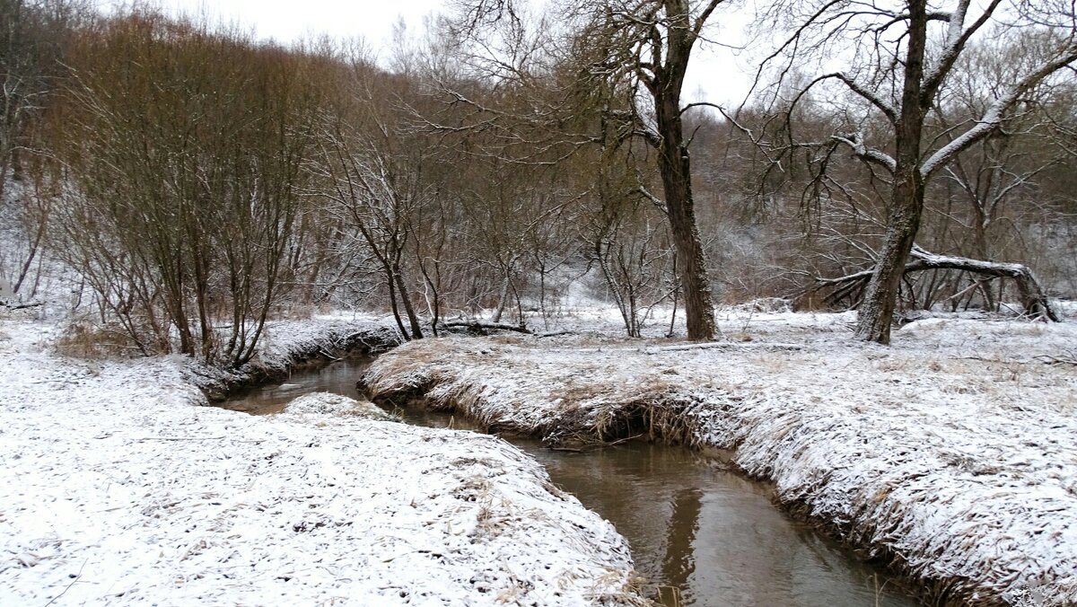 В городском парке. - Милешкин Владимир Алексеевич В городском парке. - Милешкин Владимир Алексеевич