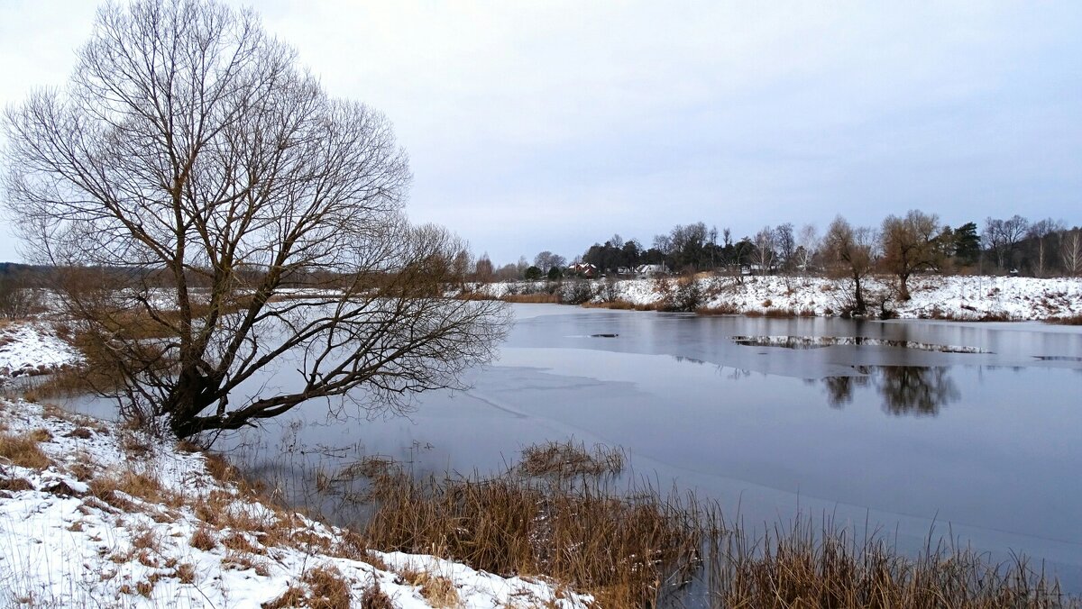 Природа Смоленщины - Милешкин Владимир Алексеевич Природа Смоленщины - Милешкин Владимир Алексеевич