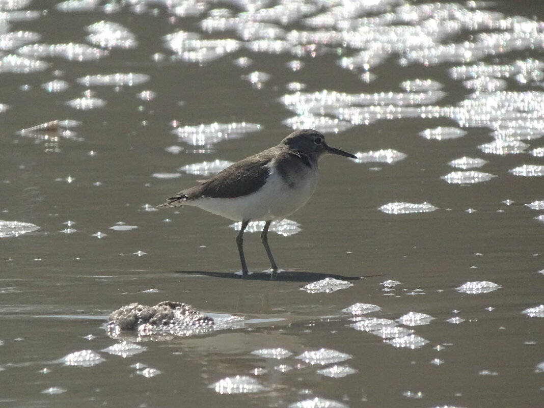 Перевозчик - Иван Литвинов Перевозчик - Иван Литвинов