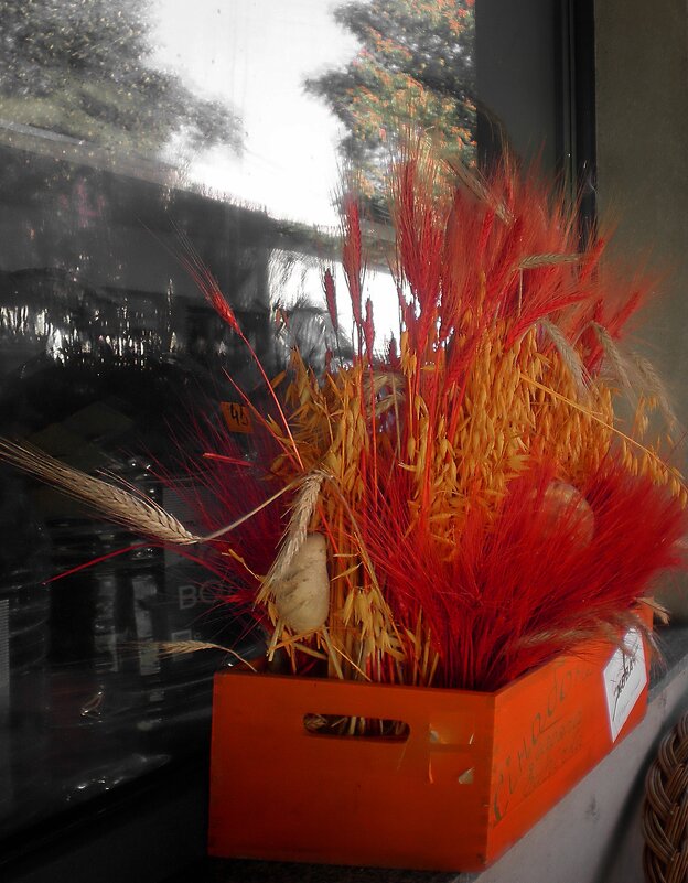 Инсталляция... - Роман Савоцкий Инсталляция... - Роман Савоцкий