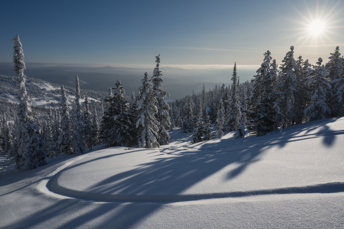 * - Александр Иванов * - Александр Иванов