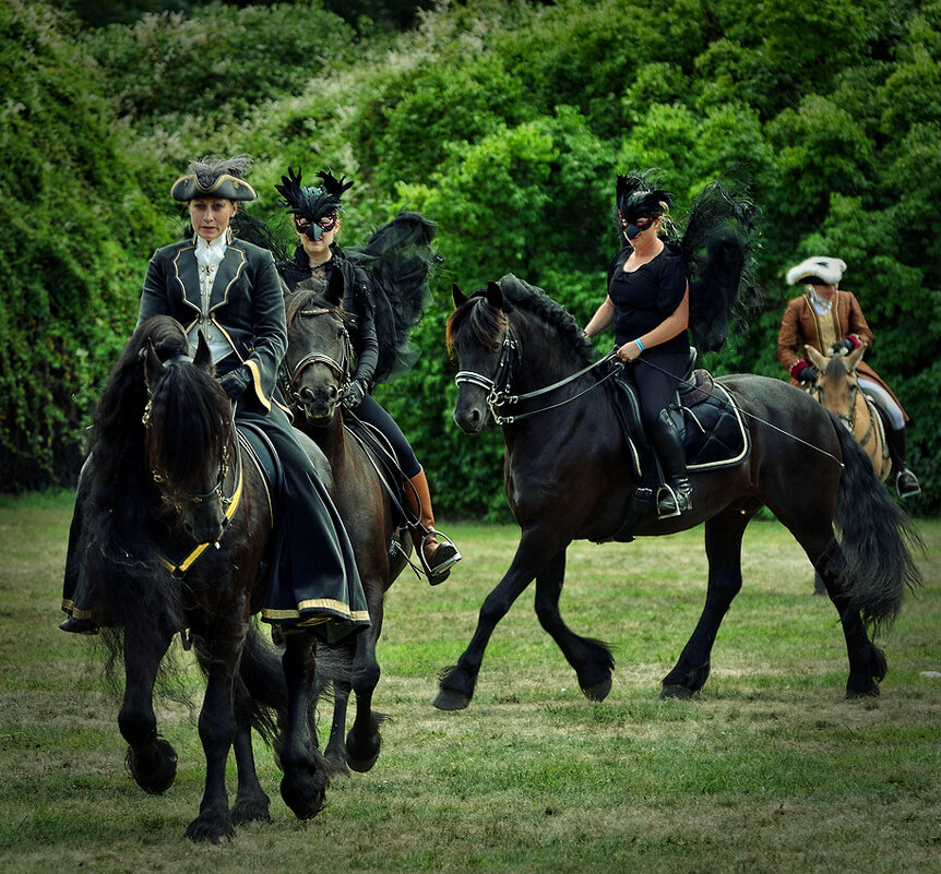 *** - Dan Berli *** - Dan Berli