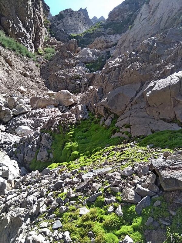 ГОРНАЯ ПРОГУЛКА. - Виктор Осипчук