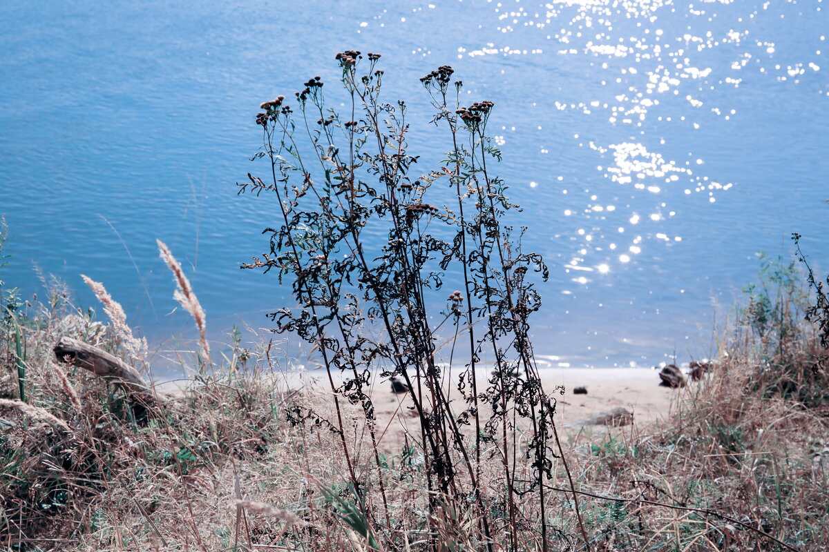 Название отсутствует - Денис Безногов Название отсутствует - Денис Безногов
