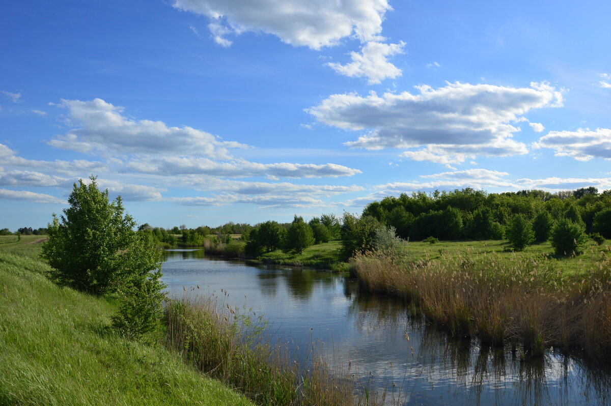 Местная река. - Виктор 