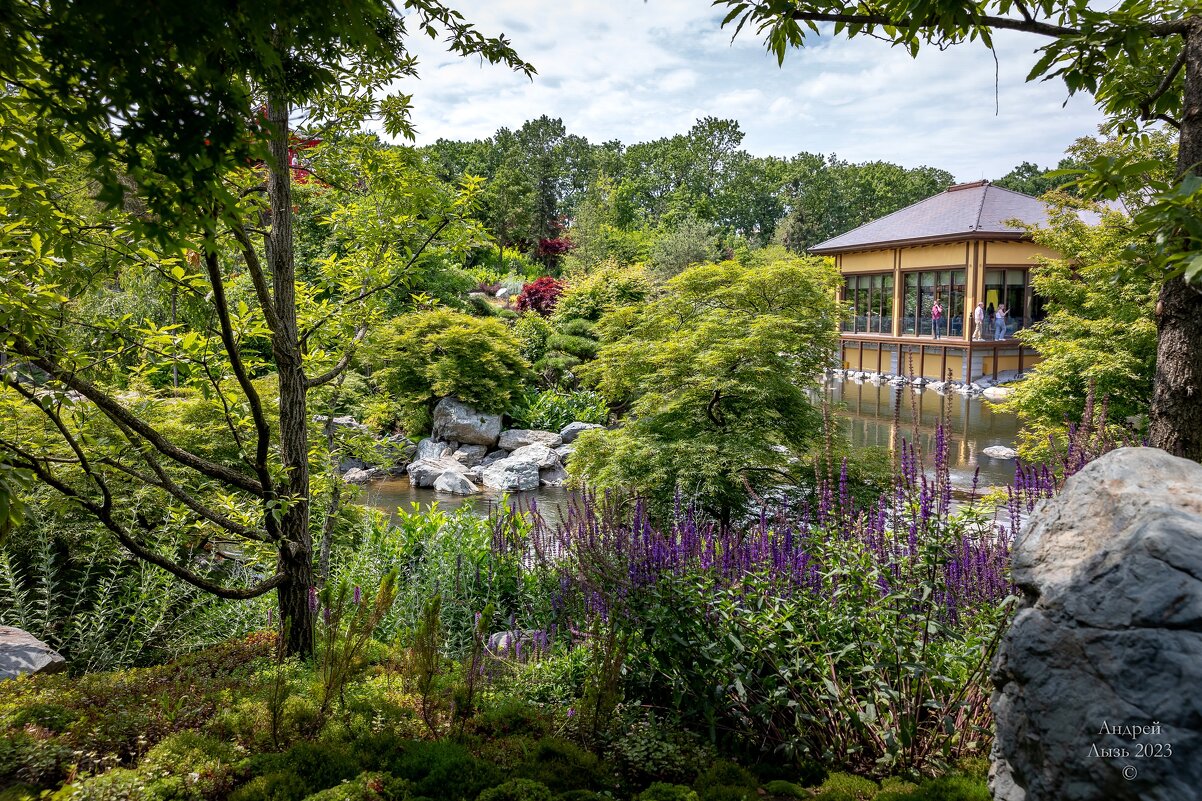 Парк Галицкого. Краснодар - Андрей Lyz