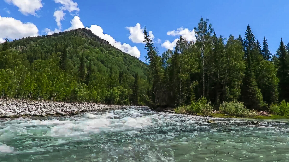 Алтай - Aleksey Afonin Алтай - Aleksey Afonin