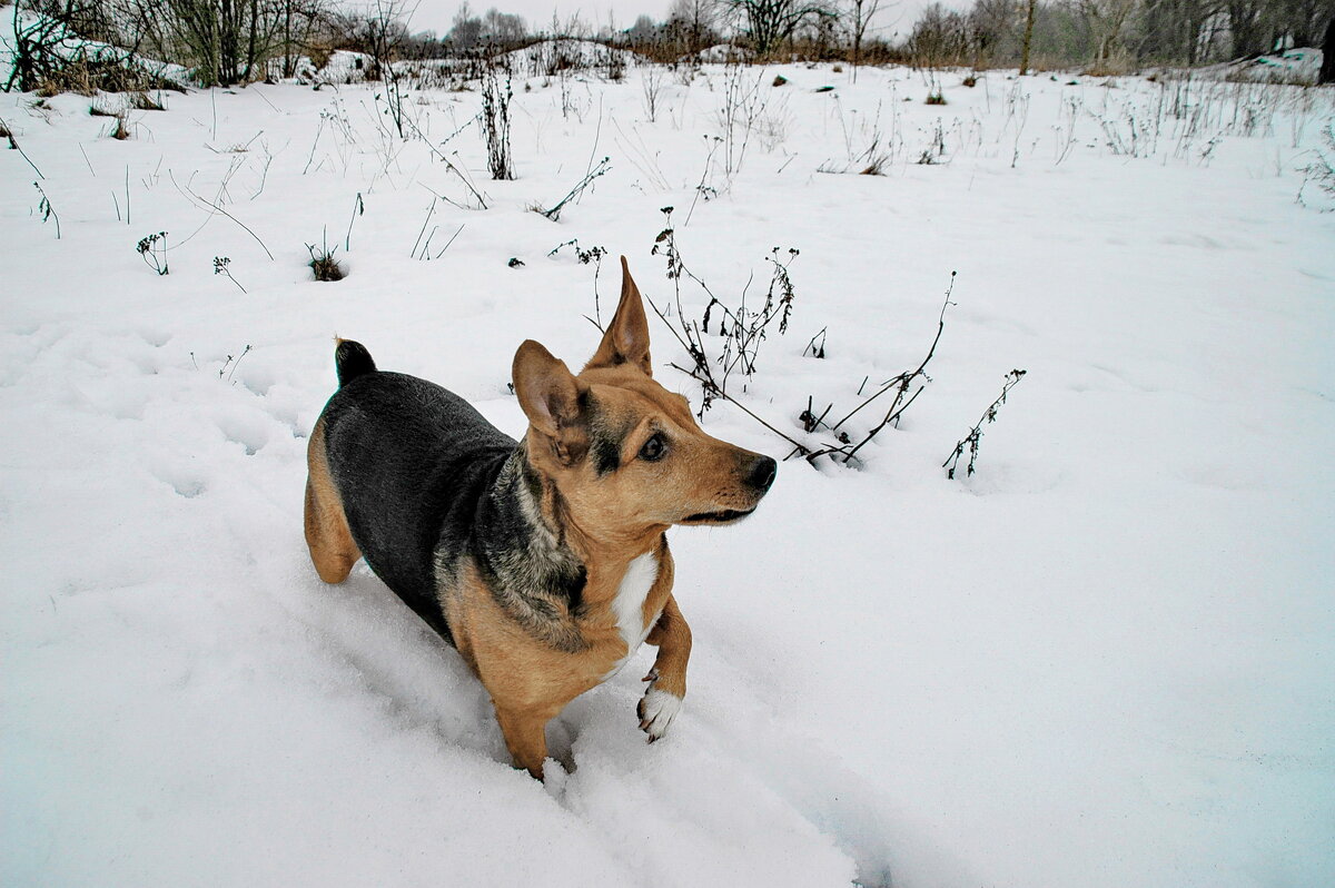 ... - Елена Пономарева ... - Елена Пономарева