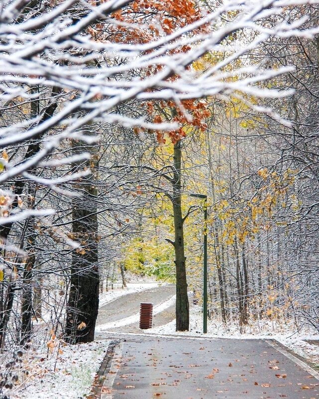 Первый снег Казань - Нина Колгатина Первый снег Казань - Нина Колгатина