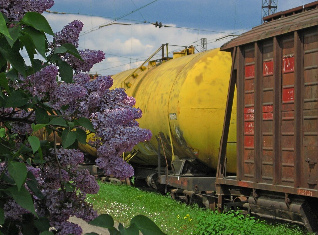 . - Александр Хоменко