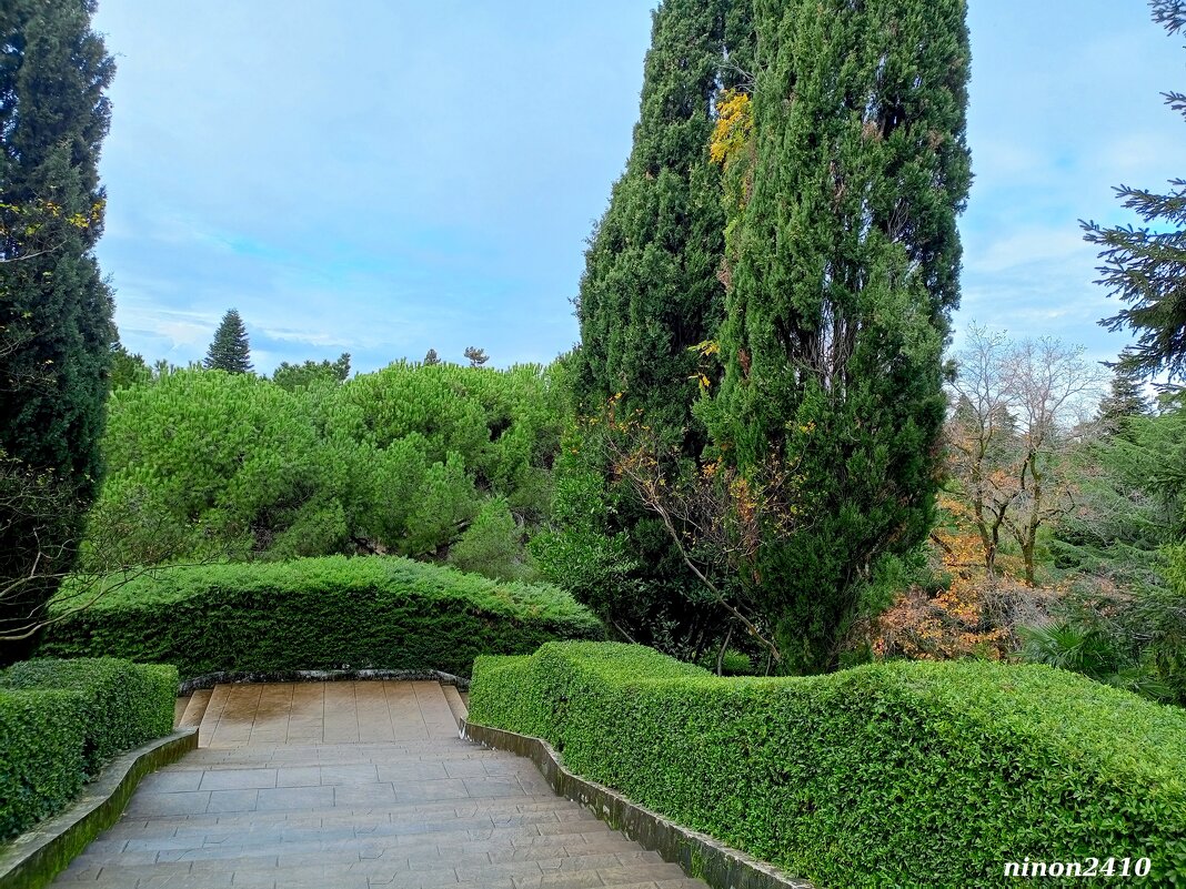 Адлер. Дендропарк "Южные культуры" - Нина Бутко Адлер. Дендропарк "Южные культуры" - Нина Бутко