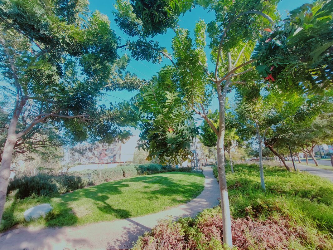 109 (83) - СТРЕН 