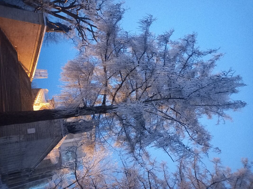 Зима - Сапсан 