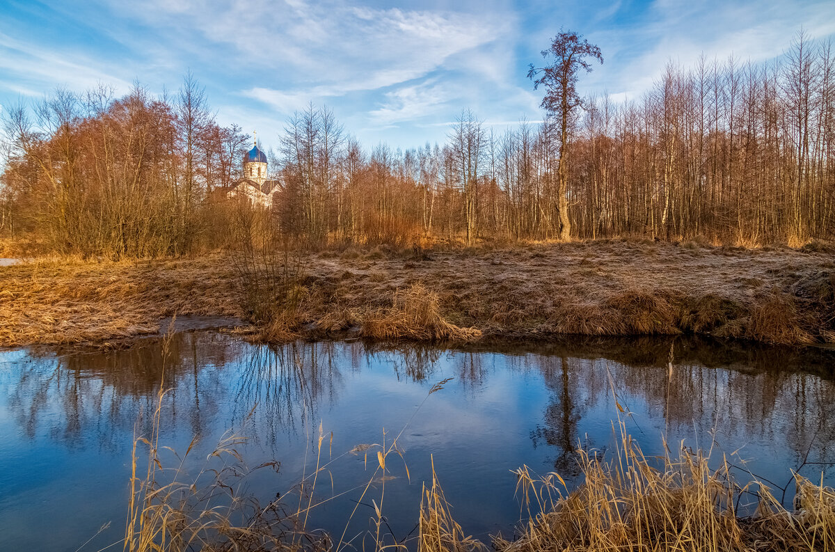 Февральское, зимние утро :) 5 - Андрей Дворников